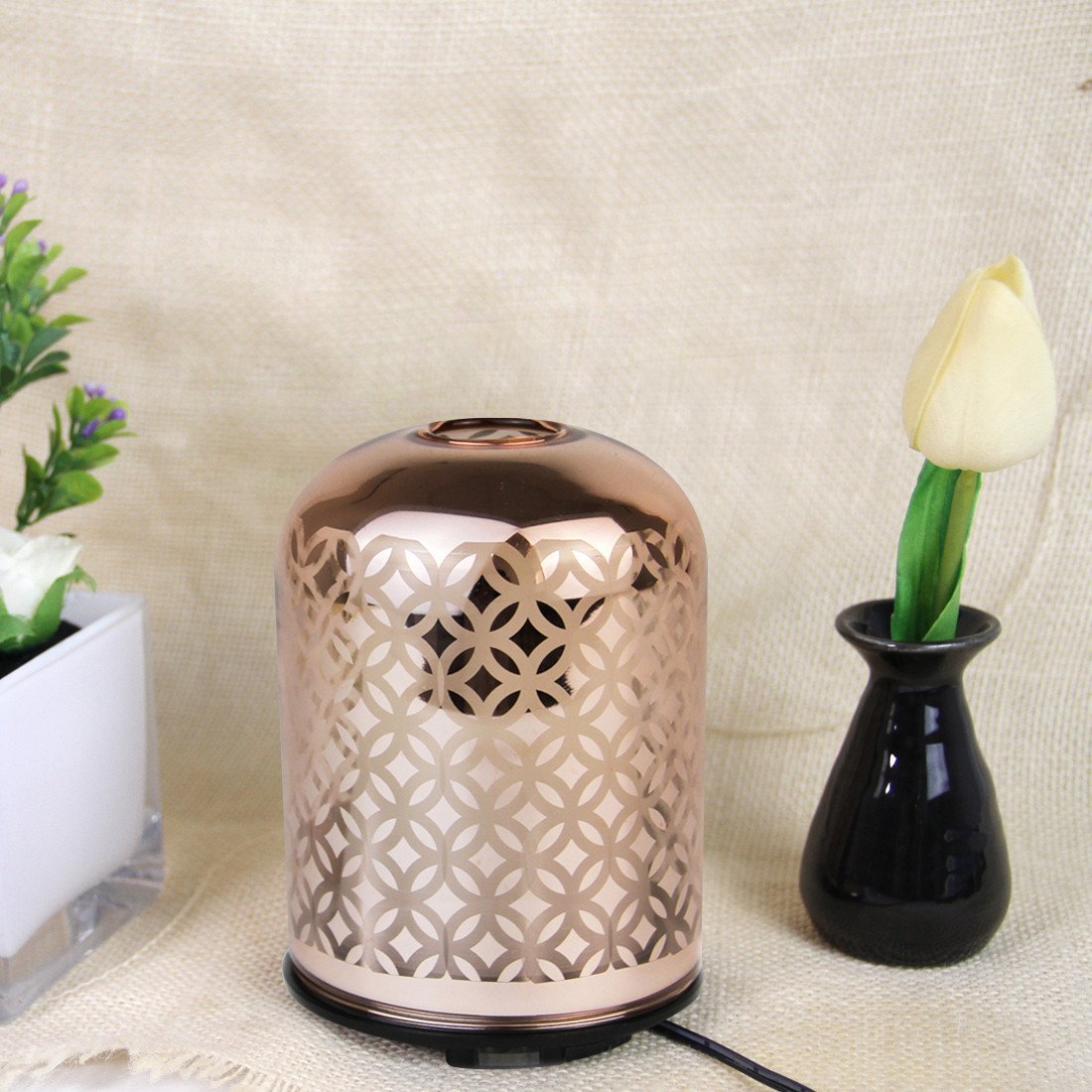 Luxury Glass Essential Oil Diffuser Rose Gold Color